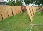 morepic-6